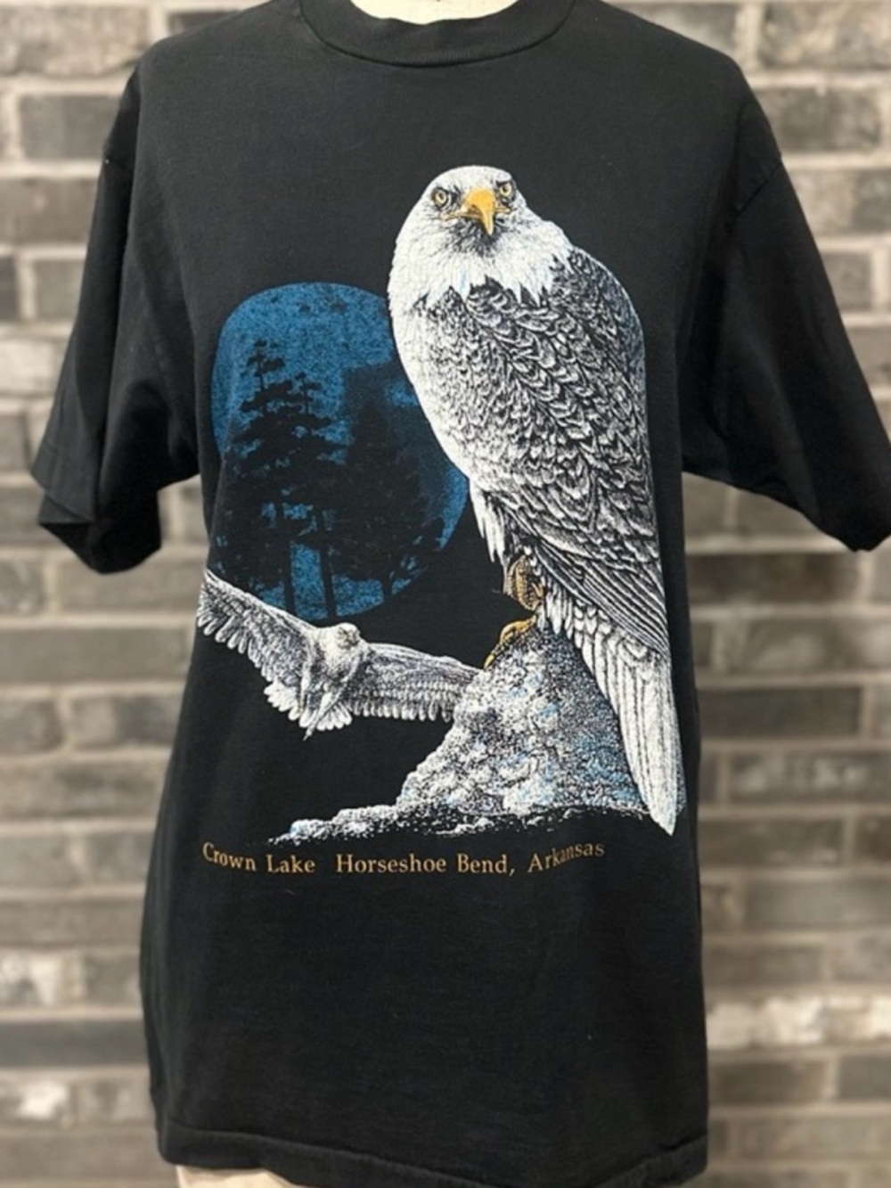 Vintage 90s Bald Eagle Single Stitch T USA Fruit of the Loom Wildlife Graphic M